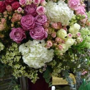 Meet your Posher, Norma